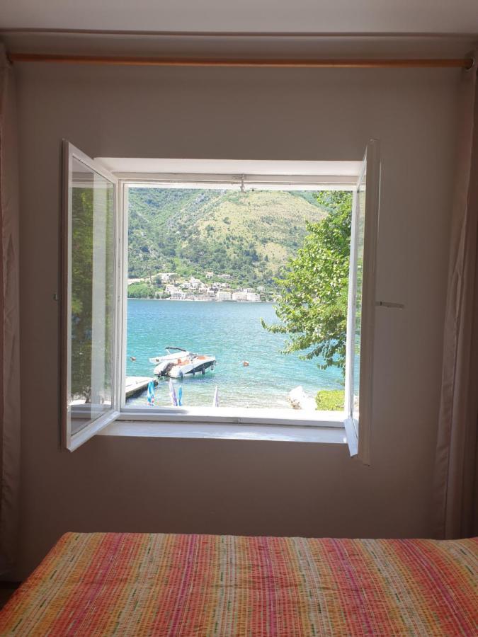 Savic Apartments Kotor Eksteriør bilde