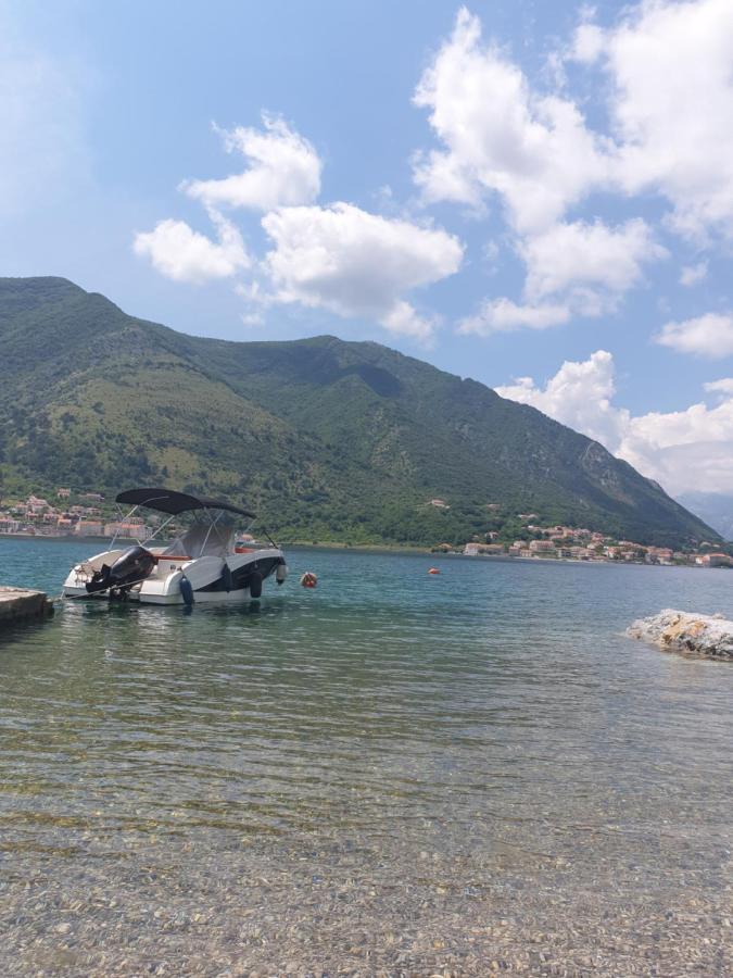 Savic Apartments Kotor Rom bilde