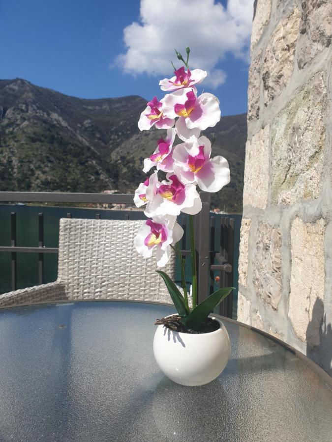 Savic Apartments Kotor Eksteriør bilde