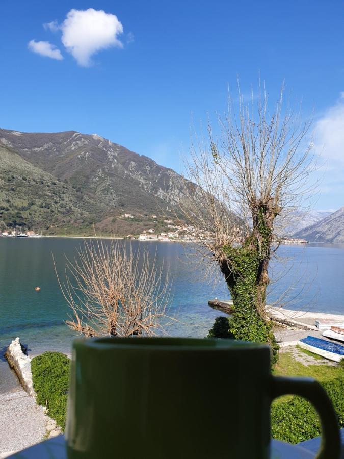 Savic Apartments Kotor Eksteriør bilde