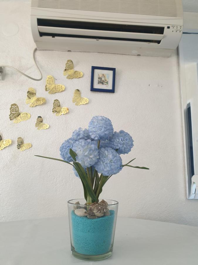 Savic Apartments Kotor Eksteriør bilde